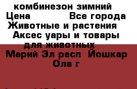 комбинезон зимний › Цена ­ 1 300 - Все города Животные и растения » Аксесcуары и товары для животных   . Марий Эл респ.,Йошкар-Ола г.